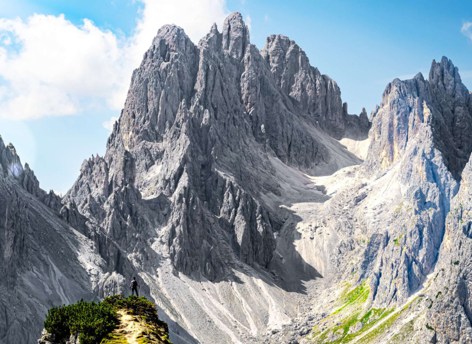 The Rise and Fall of Hitler’s Germany