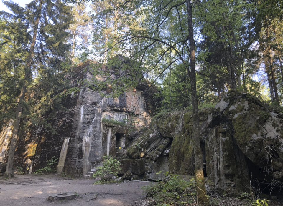 The Rise and Fall of Hitler’s Germany