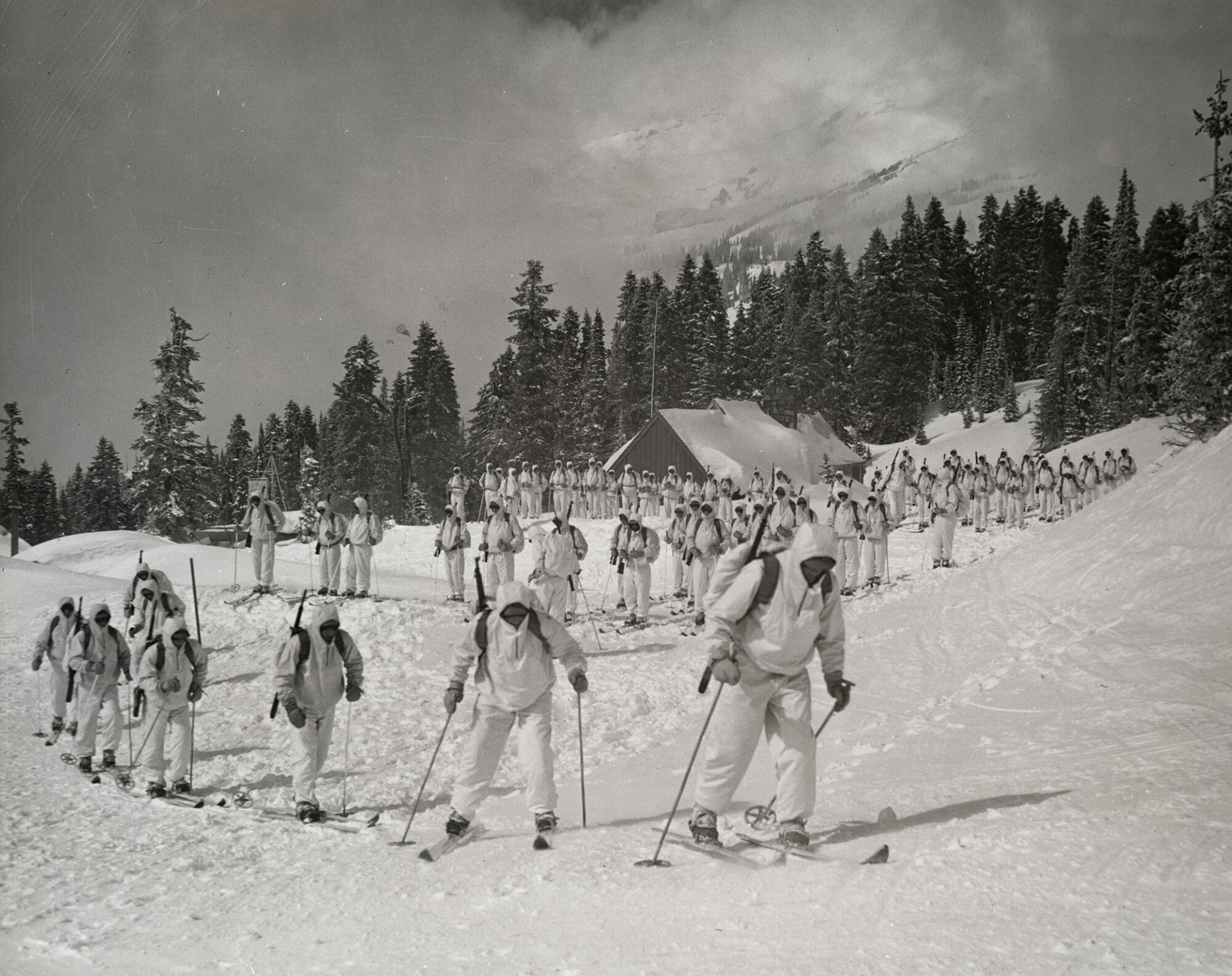 10th Mountain Division
